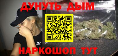 гашик Дубна