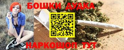 гашик Дубна