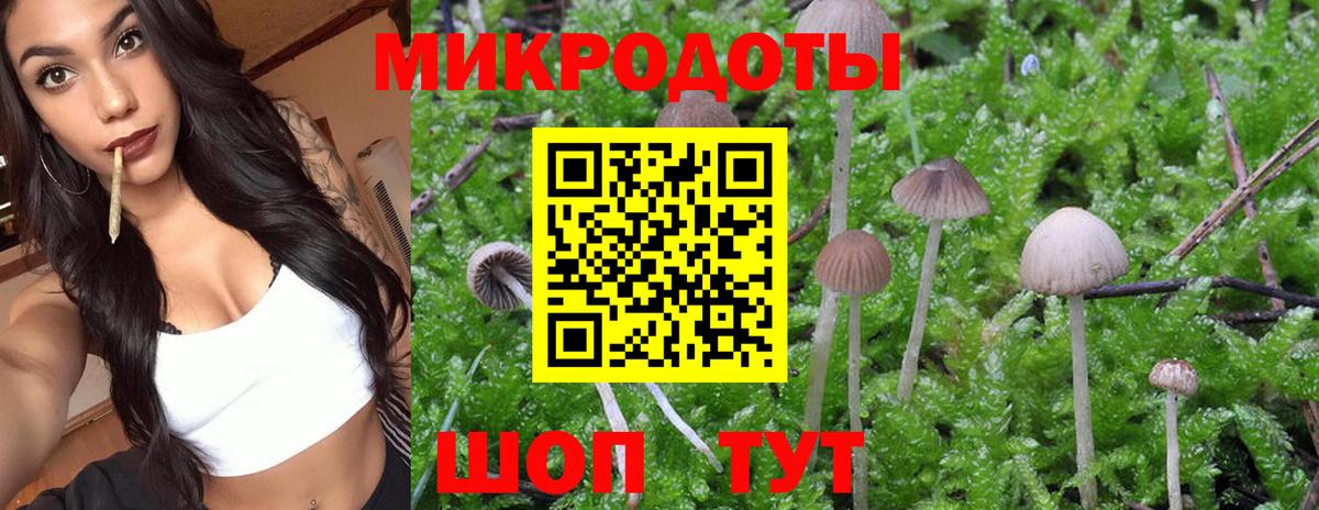 Псилоцибиновые грибы ЛСД  Псилоцибиновые грибы GOLDEN TEACHER  Михайловск  Вход с VPN 